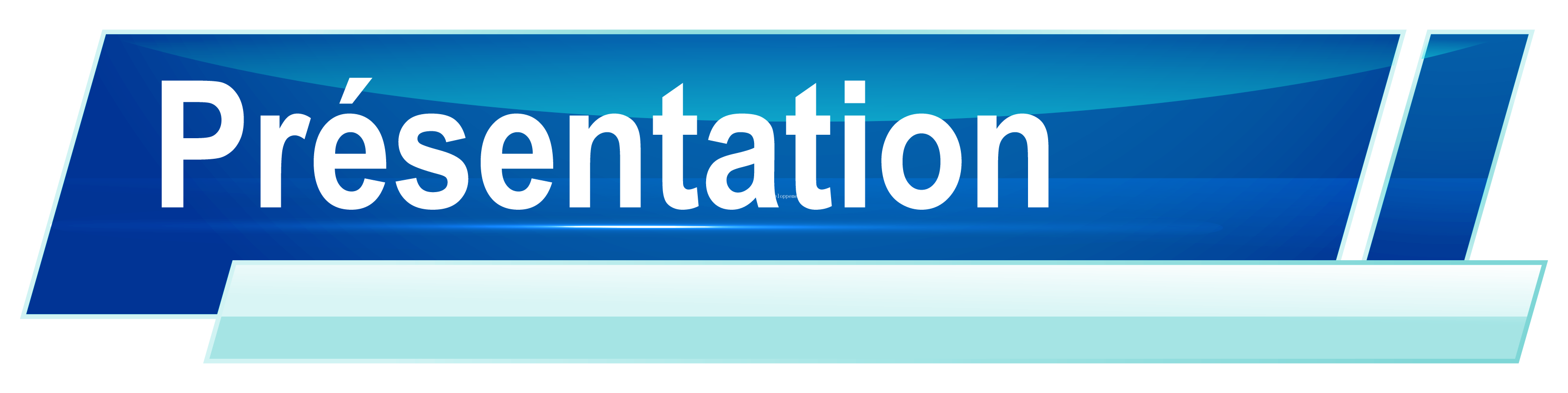 presentation