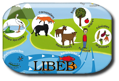 LIBEB