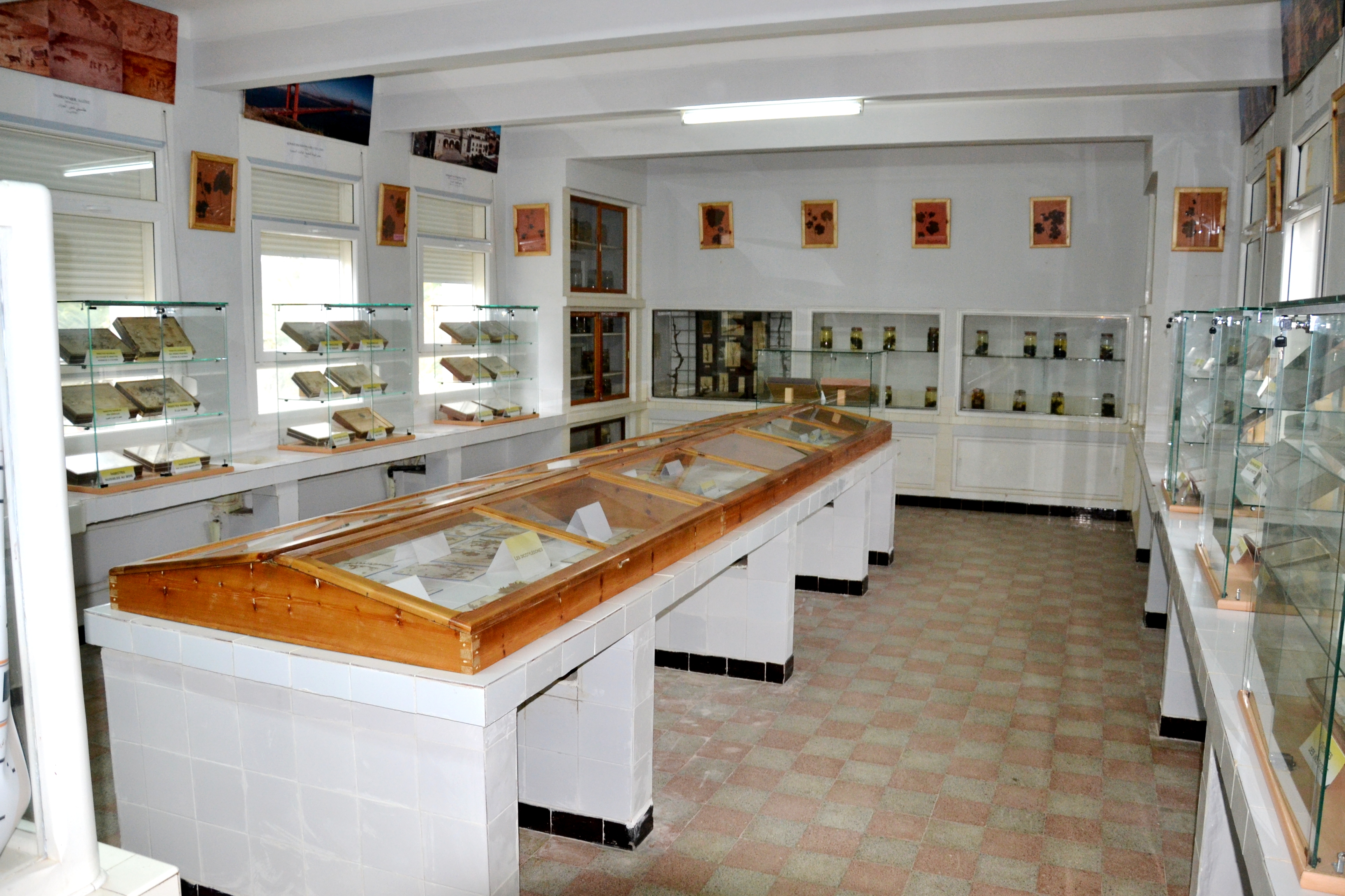 DSC_9271.JPG
